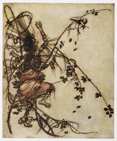 Illustration d