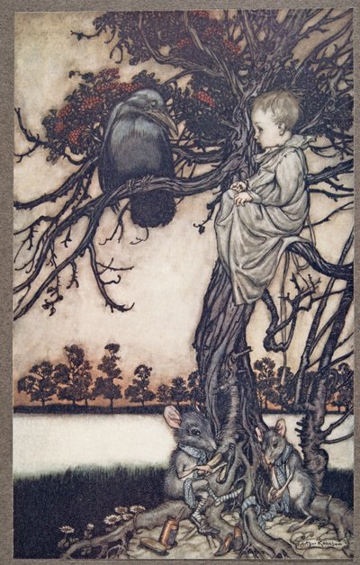 Présenta son étrange cas à Old Solomon Caw, de Peter Pan dans les jardins de Kensington par J M Barrie, pub. 1906 - Arthur Rackham