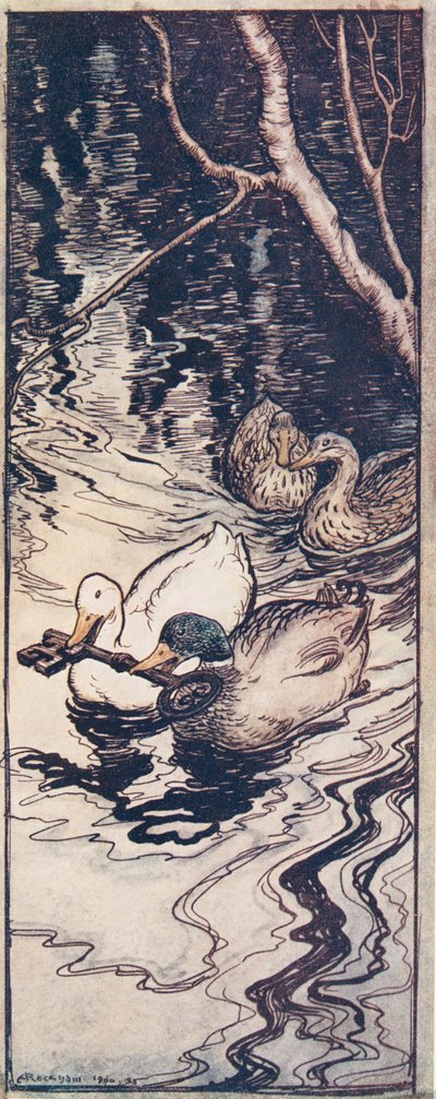 Les canards, qu