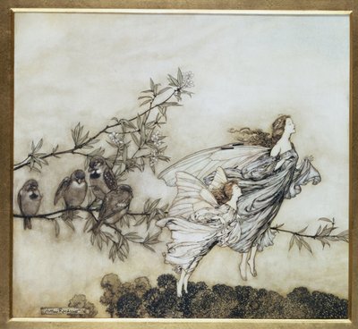 Les fées se disputent avec les oiseaux, illustration de 1906 pour Peter Pan dans les jardins de Kensington par J.M. Barrie, pub. 1906 - Arthur Rackham