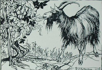La chèvre et la vigne, illustration des 
