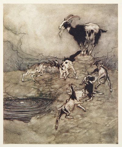 Les sept chevreaux et leur mère gambadèrent et dansèrent autour de la source de joie, des Contes de fées des frères Grimm, pub. 1909 - Arthur Rackham