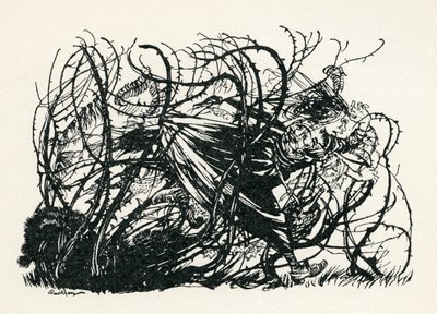 Les Trois Têtes du Puits - Arthur Rackham