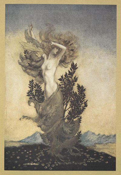 ... comme Daphné, enracinée, qui fuyait Apollon - Arthur Rackham