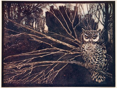 Ou un hibou hurleur, des Contes de fées des frères Grimm, pub. 1909 - Arthur Rackham