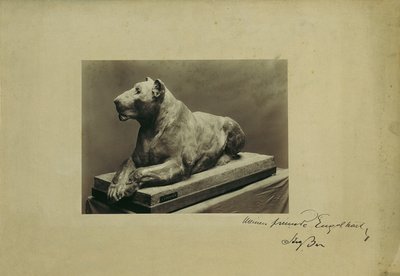 Lionne - Arthur Strasser