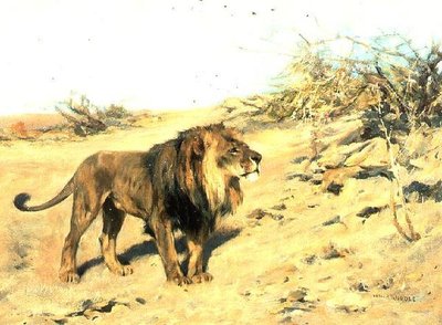 Un lion parmi les broussailles - Arthur Wardle
