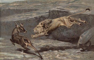 Une attaque nocturne - Arthur Wardle