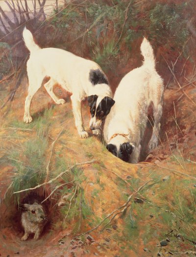 Quelqu