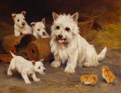 Ami ou Ennemi - Arthur Wardle