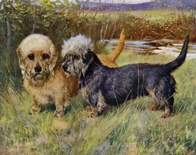 Les Dandie Dinmont Terriers, Ch Blacket House Yet, Mustard et Ch Ancrum Fanny, Pepper - Arthur Wardle