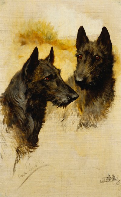 Deux Terriers Écossais - Arthur Wardle