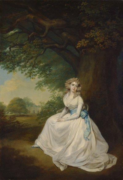 Lady Chambers - Arthur William Devis