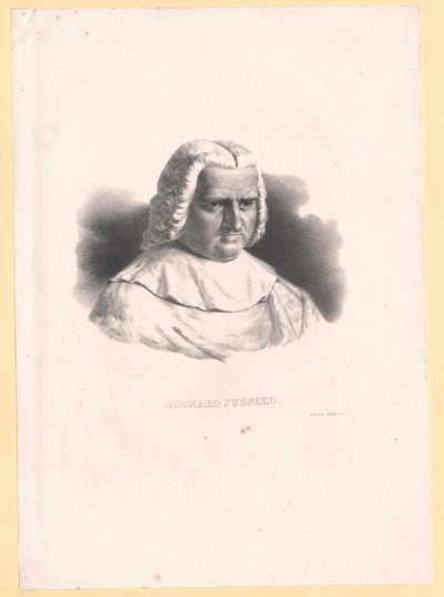 Bernard de Jussieu - Artist Unknown
