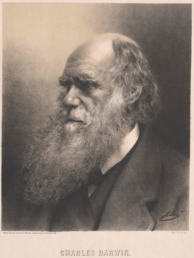 Charles Darwin - Artist Unknown