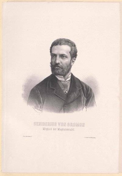 Desiderius von Gromon - Artist Unknown