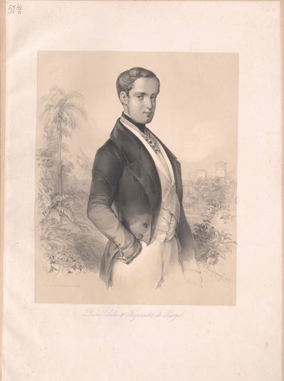 Empereur du Brésil Pierre II - Artist Unknown