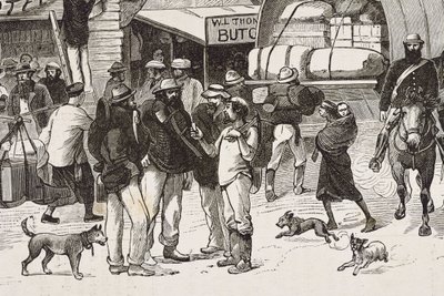 Angleterre (19ème siècle). Colonisation (1880). La vie des chercheurs d