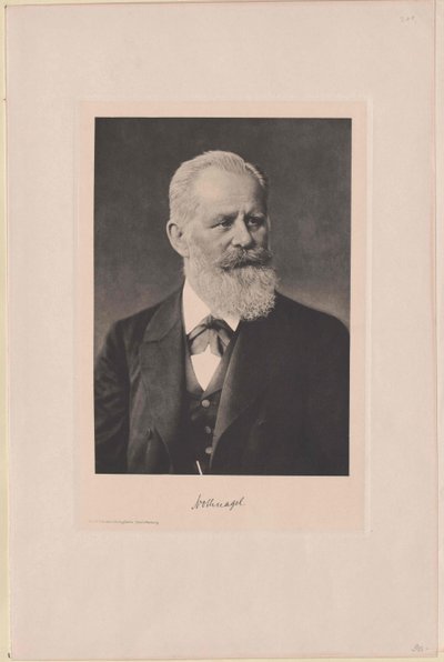 Hermann Nothnagel - Artist Unknown