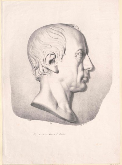 Empereur du Saint-Empire Romain François II - Artist Unknown
