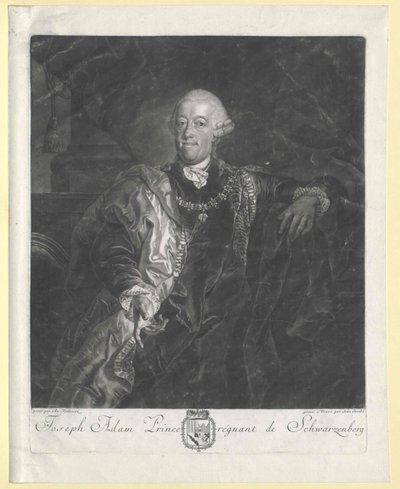 Joseph Adam Johann Nepomuk count de Schwarzenberg (peak) - Artist Unknown