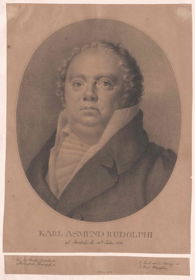 Karl Asmund Rudolphi - Artist Unknown