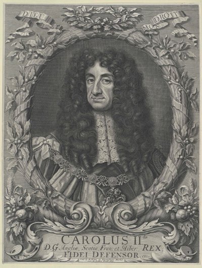 Roi d