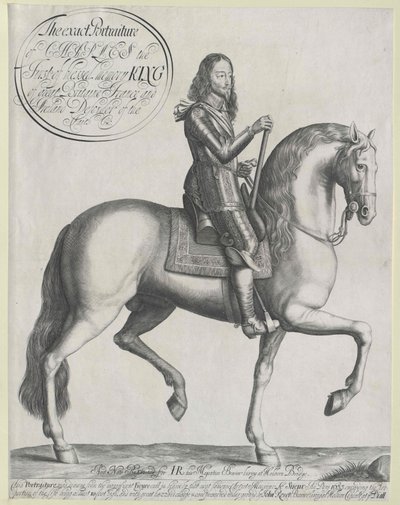 Roi d