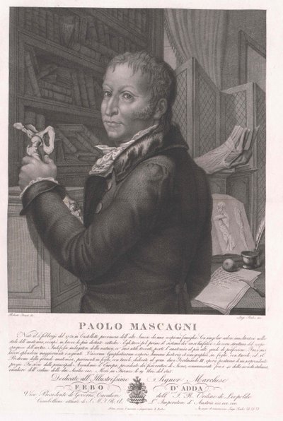 Paolo Mascagni - Artist Unknown