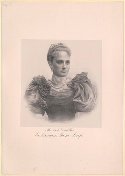 Princesse de Saxe Maria Josefa - Artist Unknown