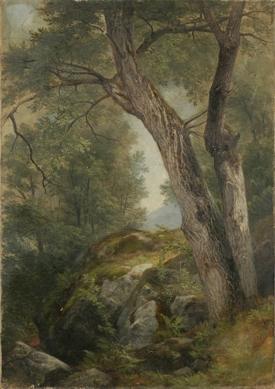 Noyer à Hague, Lake George, NY, 1862 - Asher Brown Durand