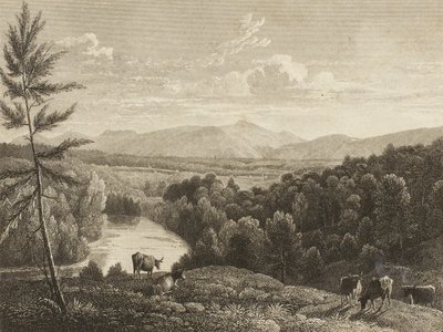 Montagnes Catskill - Asher Brown Durand