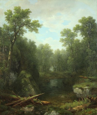 Chapel Pond Brook, Keene Flats, Adirondack Mountains, New York, 1871 - Asher Brown Durand