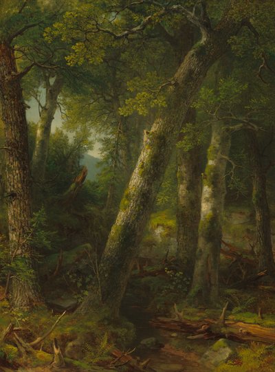 Forêt dans la lumière du matin - Asher Brown Durand