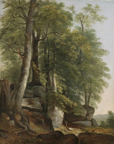 Paysage avec rochers et arbres, vers 1845 - Asher Brown Durand
