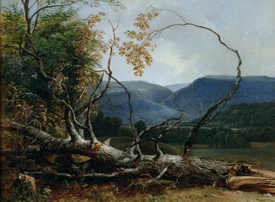 Stratton Notch, Vermont - Asher Brown Durand