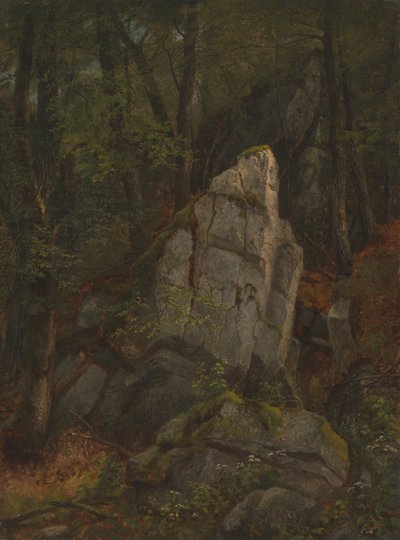 Étude des roches dans le ravin de Pearson - Asher Brown Durand