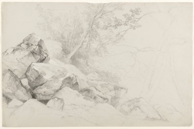 Étude de rochers avec arbres, Hague, Lake George, New York, 1862 - Asher Brown Durand