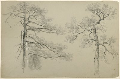 Étude de Deux Arbres, Hague, Lake George, New York, 1862 - Asher Brown Durand