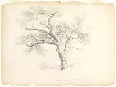 Le chêne à gros fruits sur le domaine Hosack, Hyde Park, New York avec cinq personnages et un artiste dessinant, 1838 - Asher Brown Durand