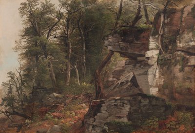 Arbres sur une colline rocheuse - Asher Brown Durand