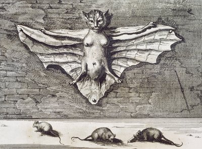 Cattus volans, 1667 - Athanasius Kircher