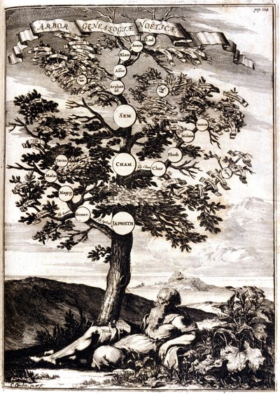 Arbre généalogique de Noé d