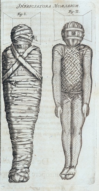 Momies - dans "Sphynx mystagoga" par Athanase Kircher - Athanasius Kircher