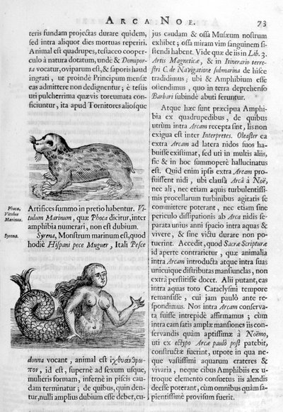 Créatures mythiques - Athanasius Kircher