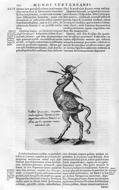 Créatures Mythiques - Athanasius Kircher