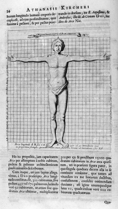 Proportions de l