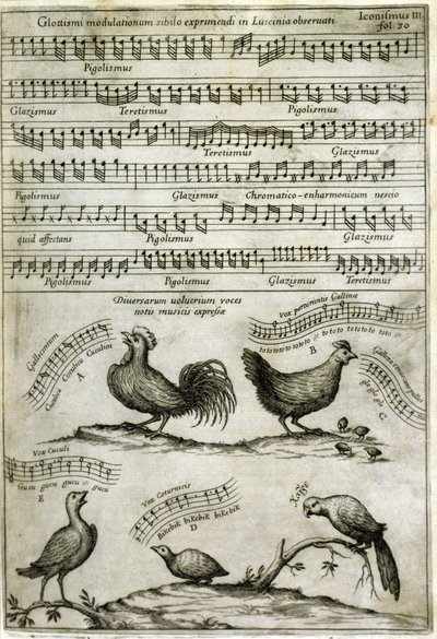 Le chant émis par certains volatiles exprimé par des notes de musique d