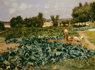 Le champ de choux - Attillo Pratella