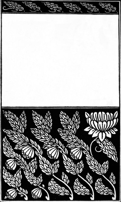 Conception de couverture de Nobody